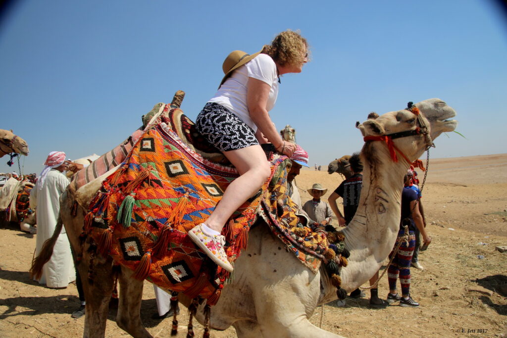 Camel riding techniques
