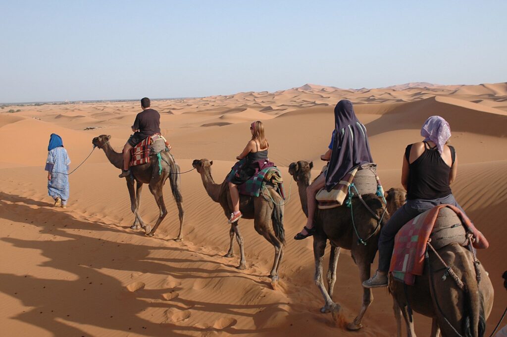 Camel Riding experience through the sand dunes