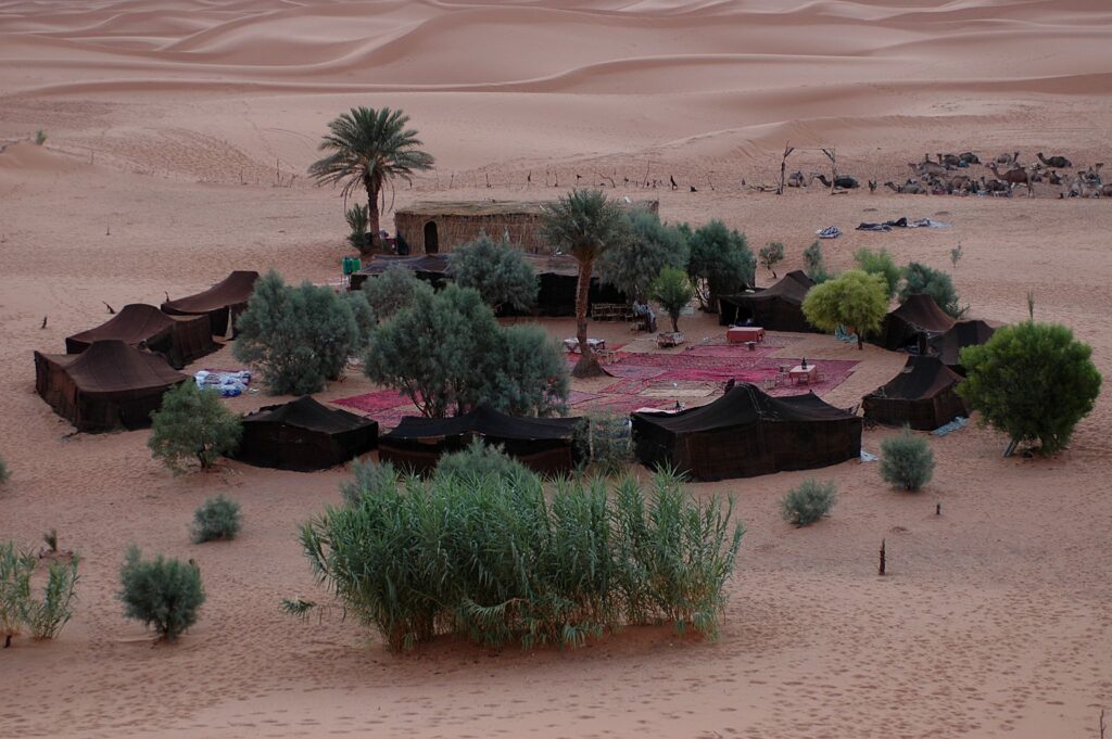 Overnight Camel Trekking in Merzouga Desert