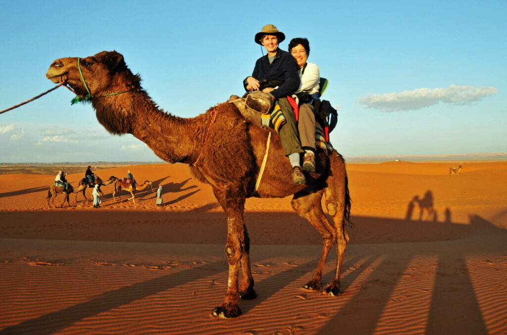 Camel ride and tourism in Morocco, facing poverty
