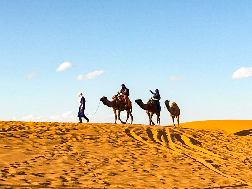 Sahara desert camel ride, Morocco facts