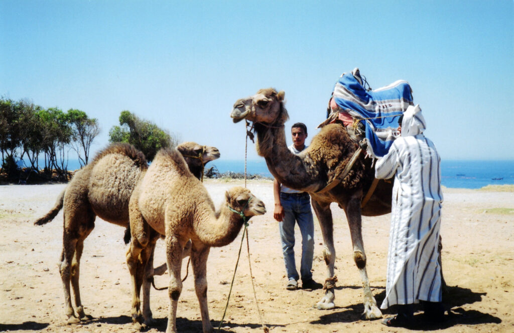 Tangier, Morocco activities and camel riding by the beach