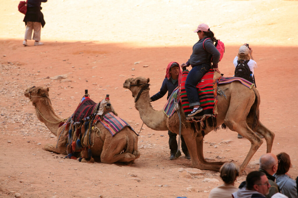 A person dismounting a camel 