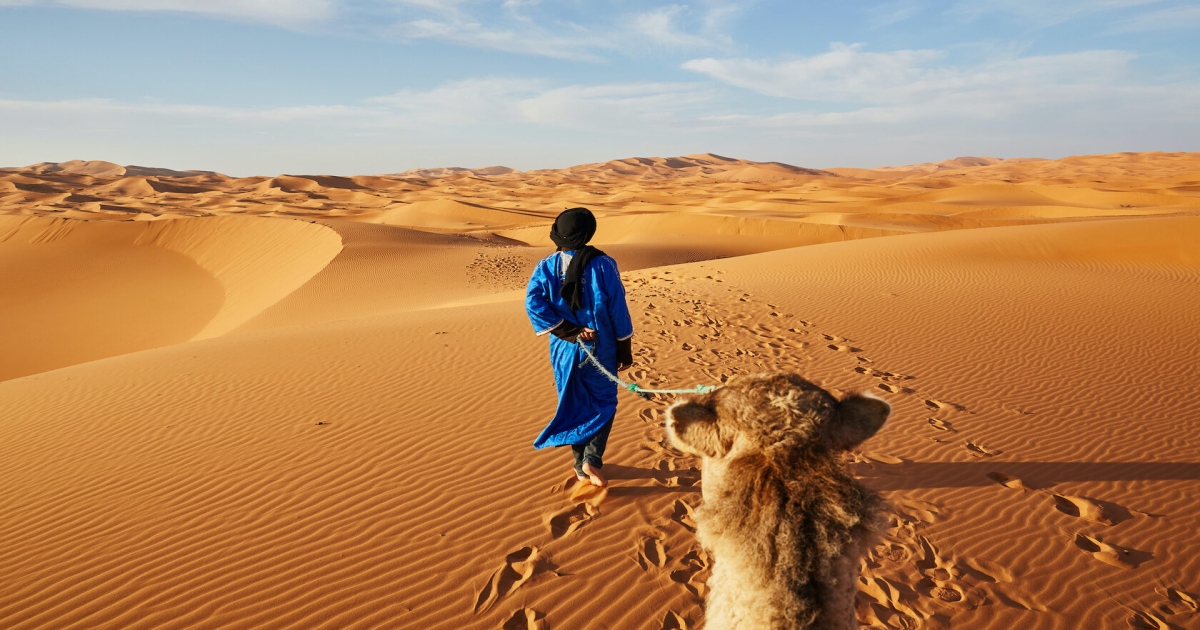 A camel driver in the Merzouga desert: one of the ways to travel around Morocco.