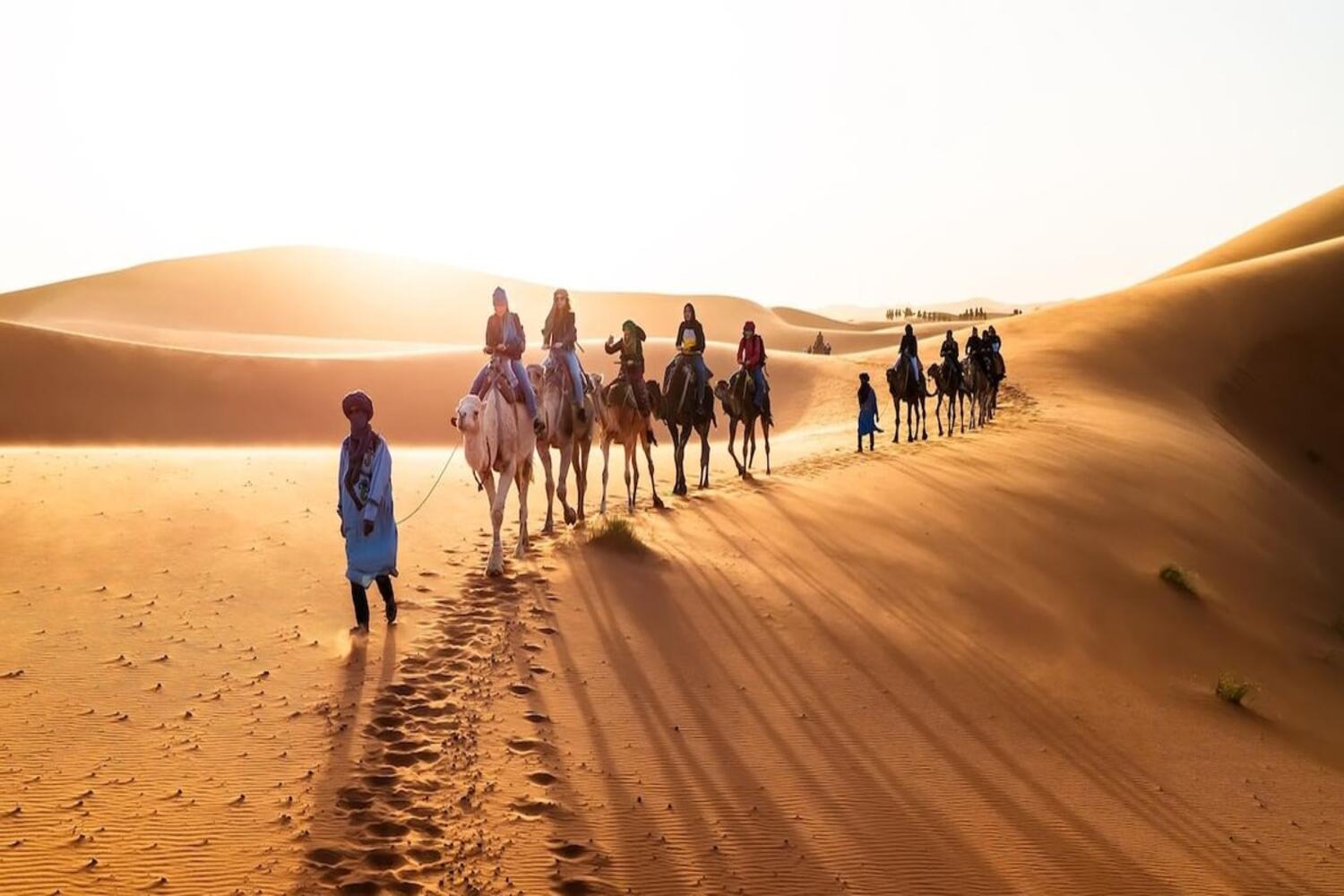 Caravanas de camellos en Merzouga después de tomar vuelos desde el aeropuerto más cercano.