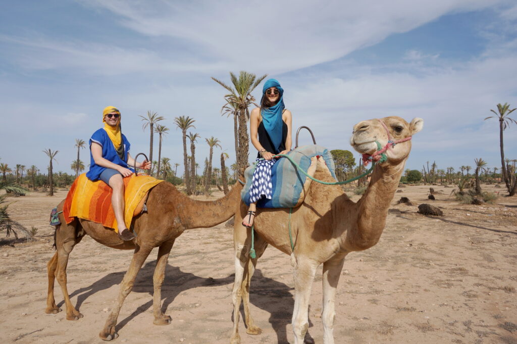 Giro in cammello a Marrakech, Marocco