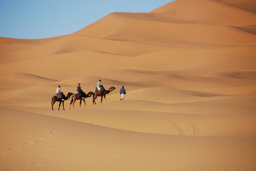 Camel rides in Merzouga Desert, Morocco