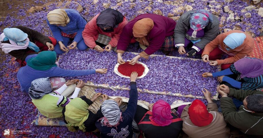 Moroccan women making Saffron
