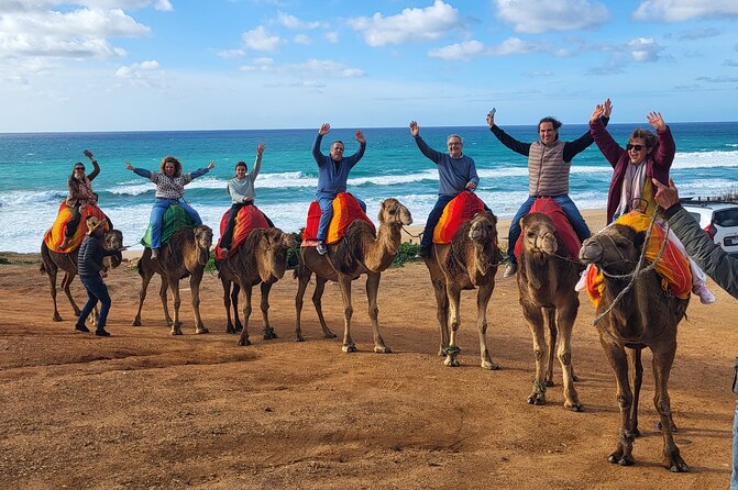 Camel rides in Tangier