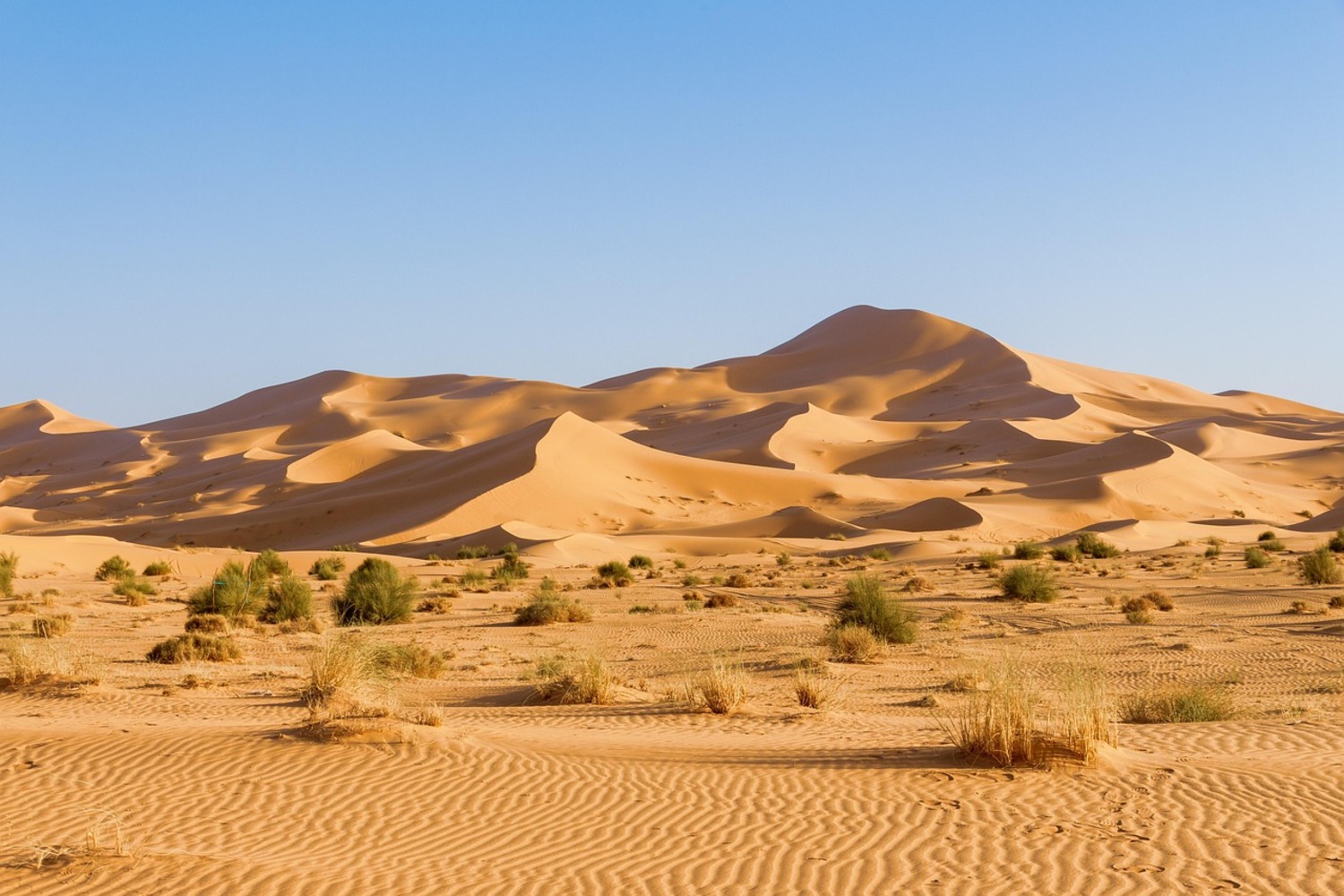 Datos interesantes sobre el desierto del Sáhara