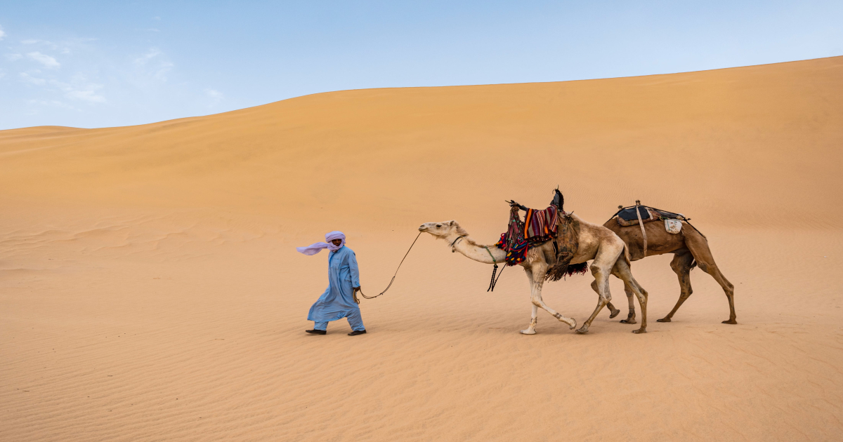 Sunset & Sunrise Camel Ride in Merzouga Desert
