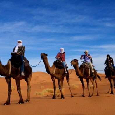 Merzouga camel trekking and overnight in a desert camp