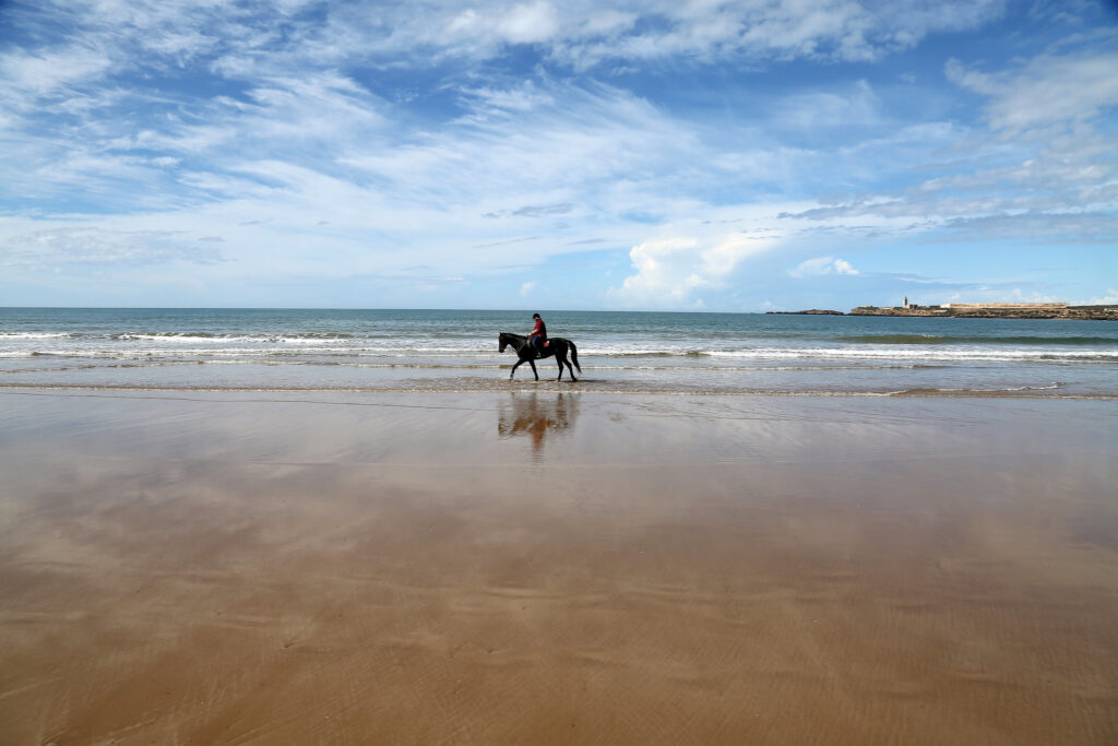 Essaouira actividad de equitación en Marruecos con los costos