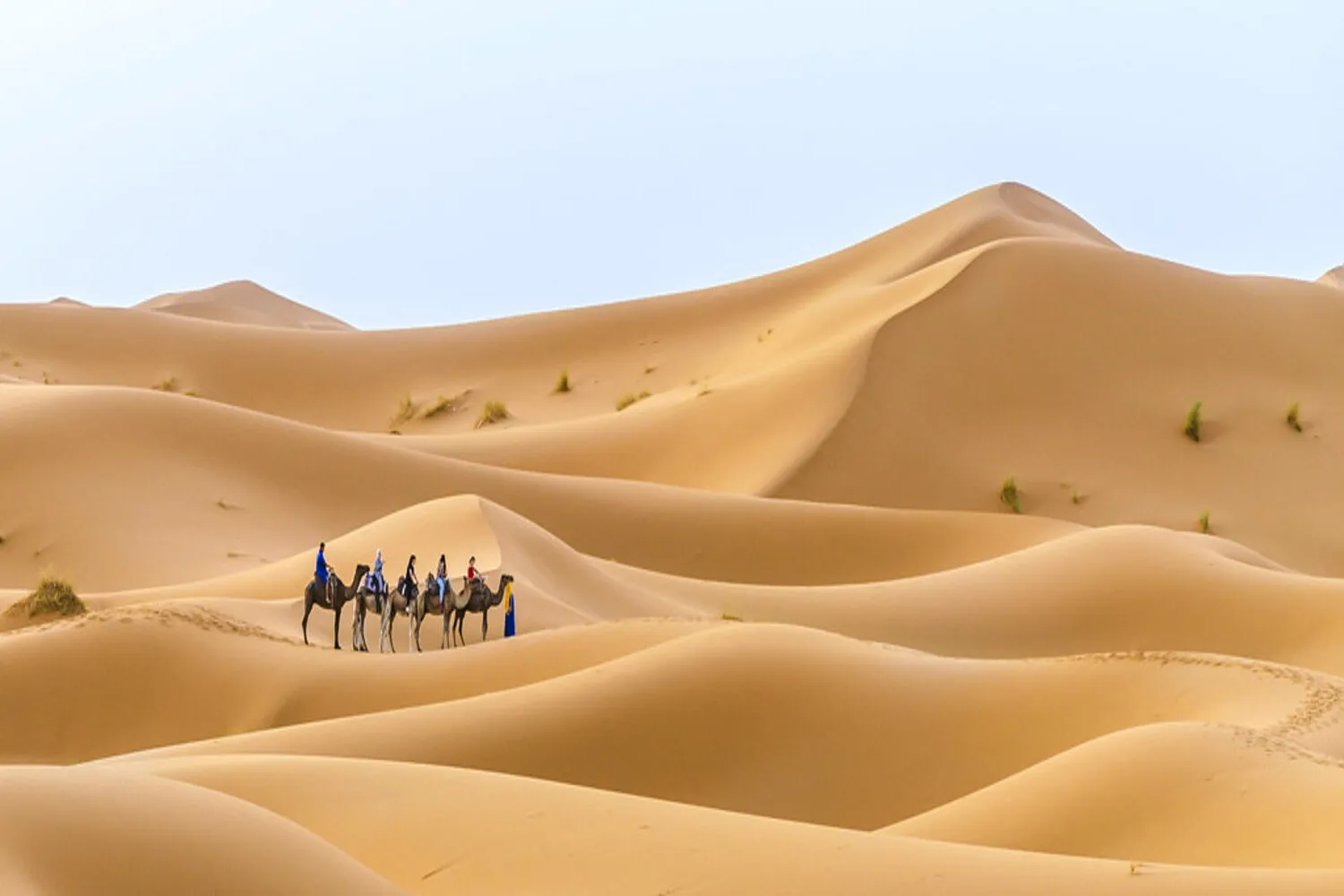 Persone da Singapore che cavalcano cammelli nel deserto di Merzouga.