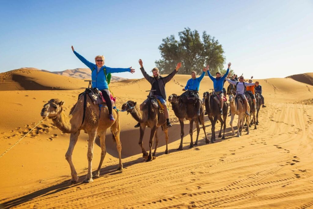 A group of tourists riding camels in the Merzouga desert.