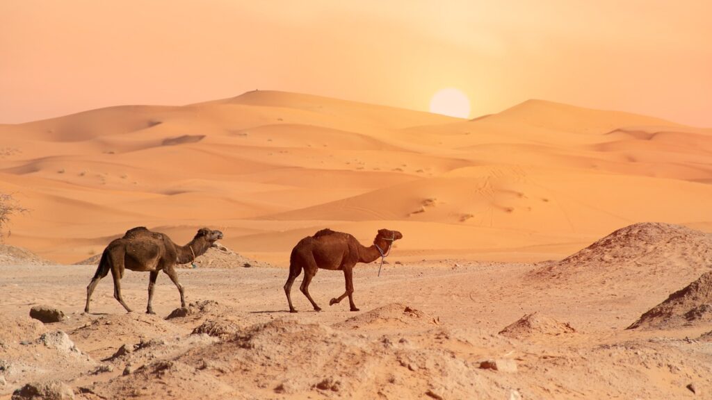Merzouga Shara Desert