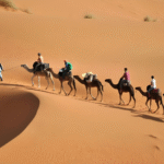 Camellos en la arena con nuestro tour de 9 días por Marruecos desde Casablanca.
